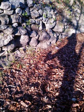 Shadow games
