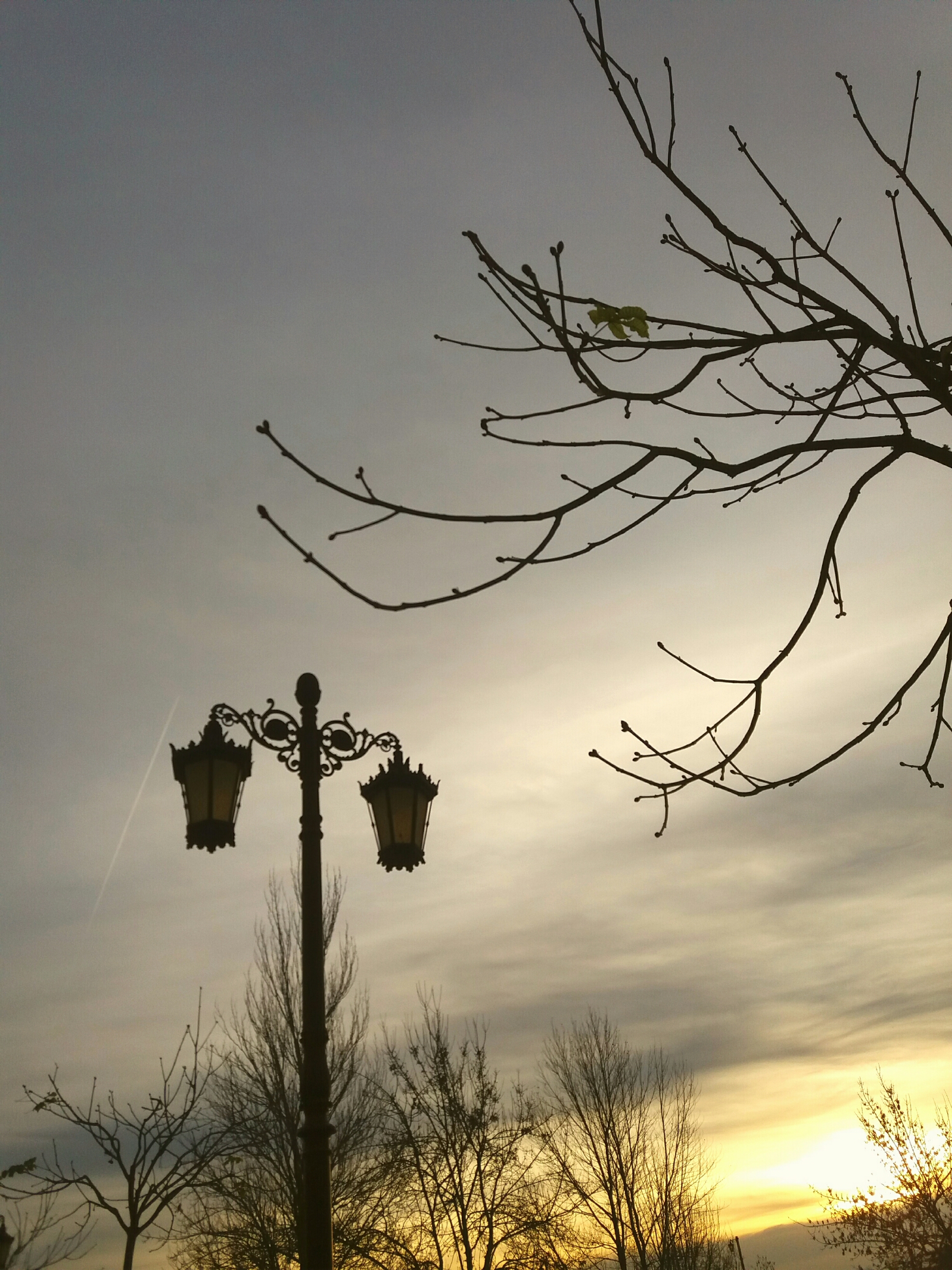 wp-1451239340089 image