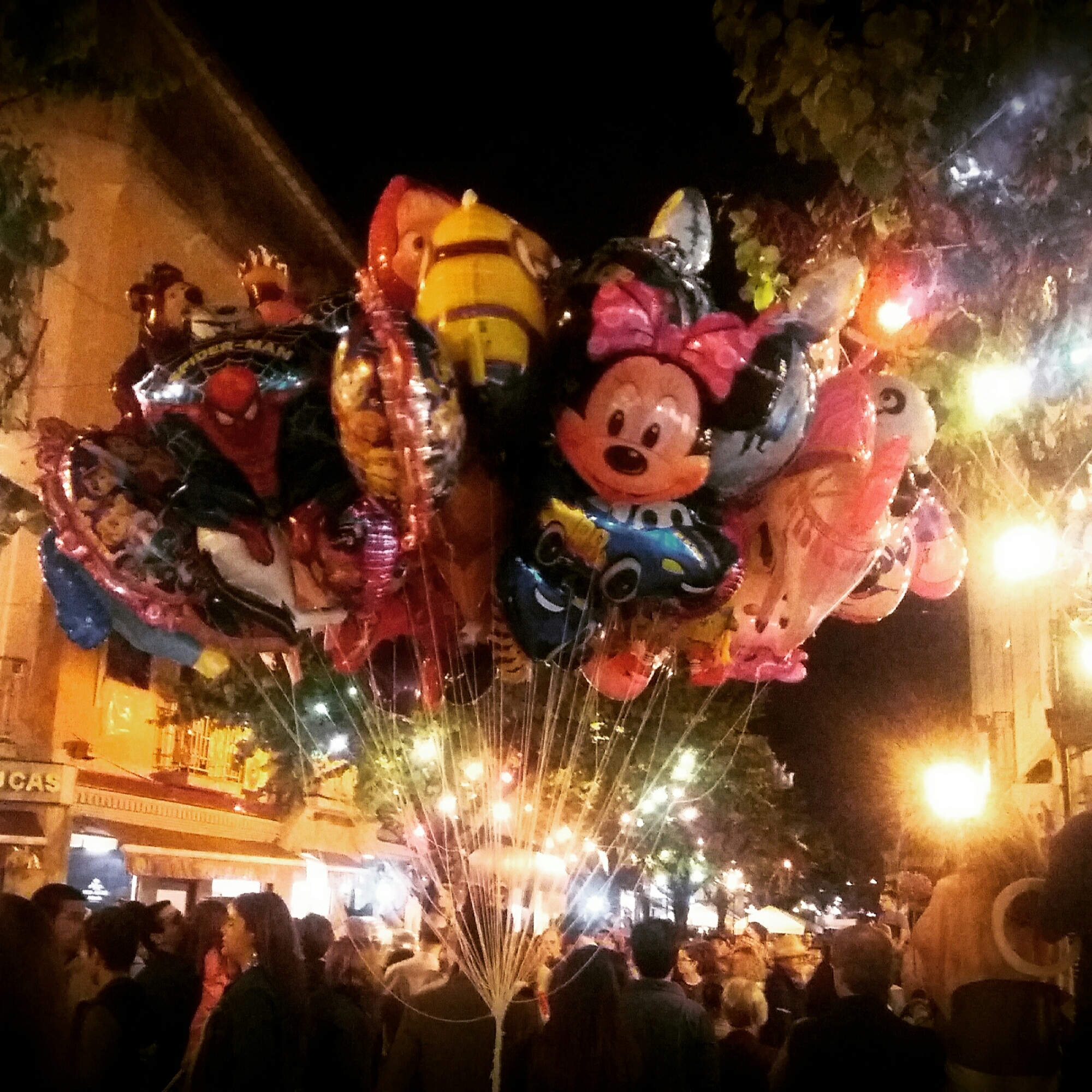 IMG_20160623_234844.jpg image