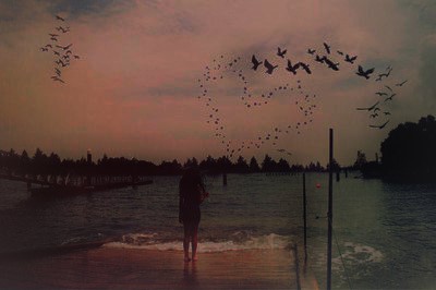 tumblr_lt3a6luevb1qhm211o1_400